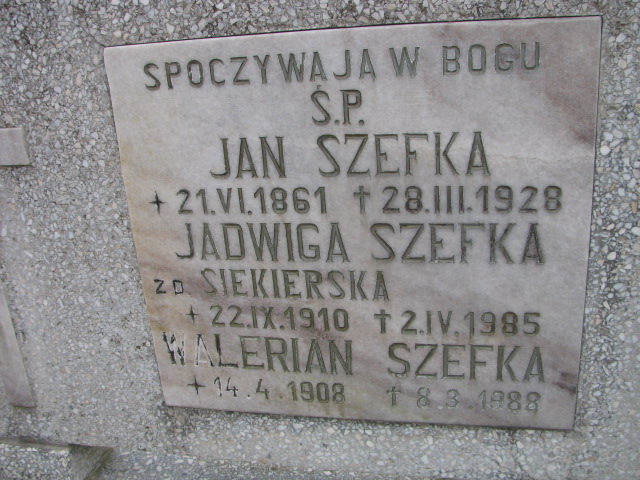 Jadwiga Szefka 1910 Luzino - Grobonet - Wyszukiwarka osób pochowanych