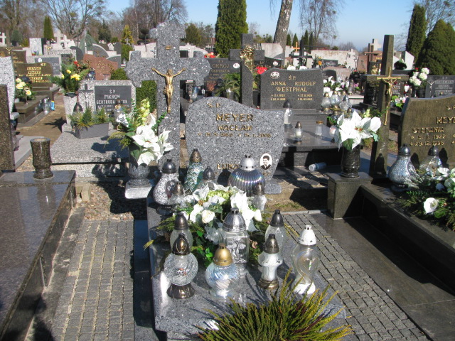 Grób Wacław Meyer