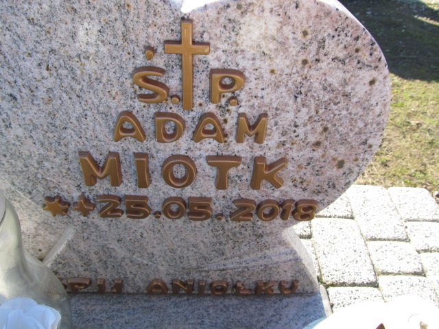 Adam Miotk 2018 Luzino - Grobonet - Wyszukiwarka osób pochowanych