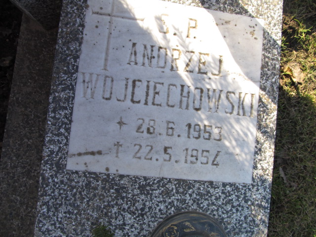 Andrzej Wojciechowski 1953 Luzino - Grobonet - Wyszukiwarka osób pochowanych