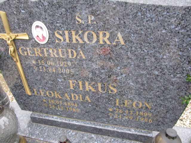 Leon Fikus 1899 Luzino - Grobonet - Wyszukiwarka osób pochowanych