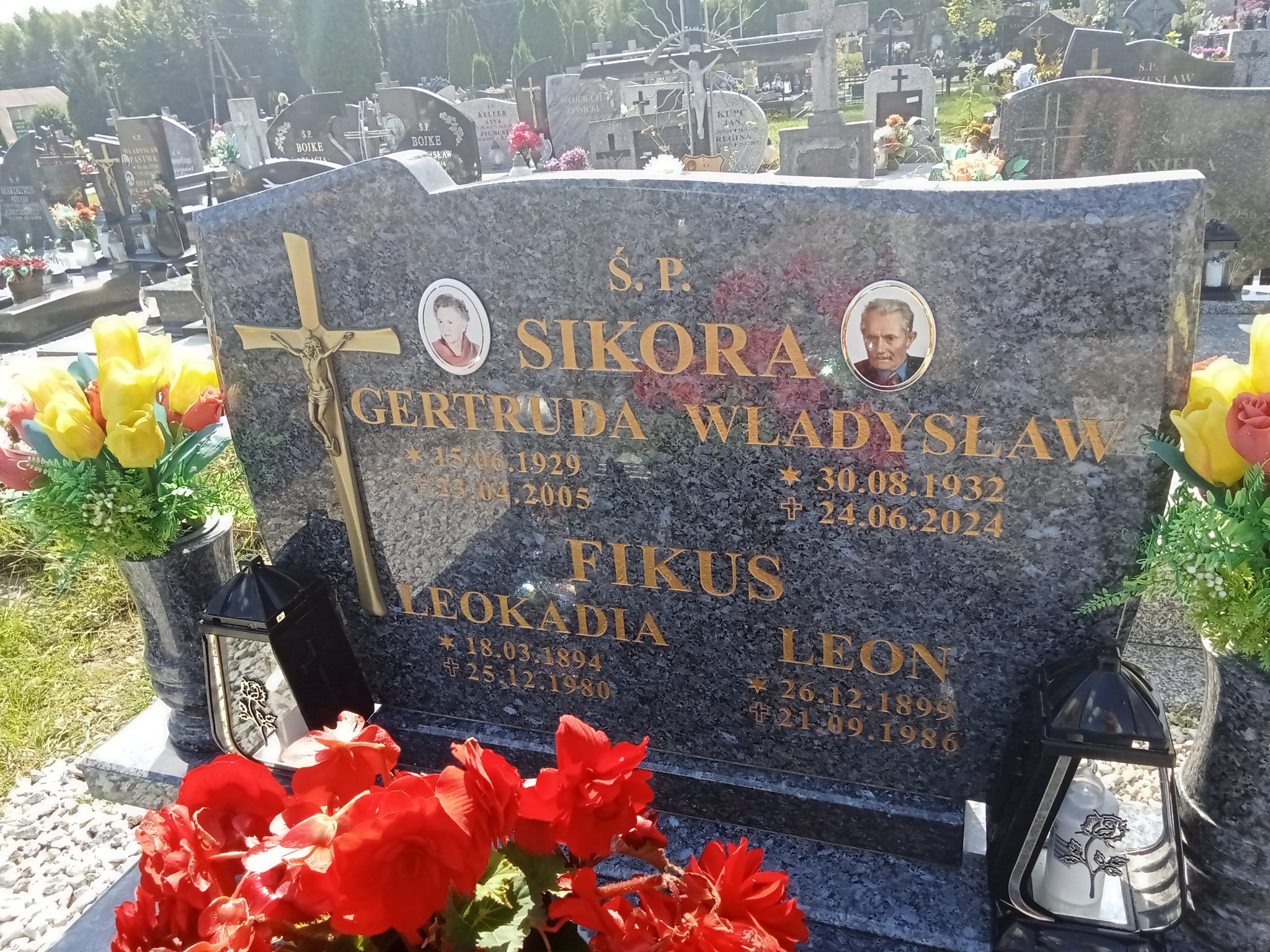 Leon Fikus 1899 Luzino - Grobonet - Wyszukiwarka osób pochowanych